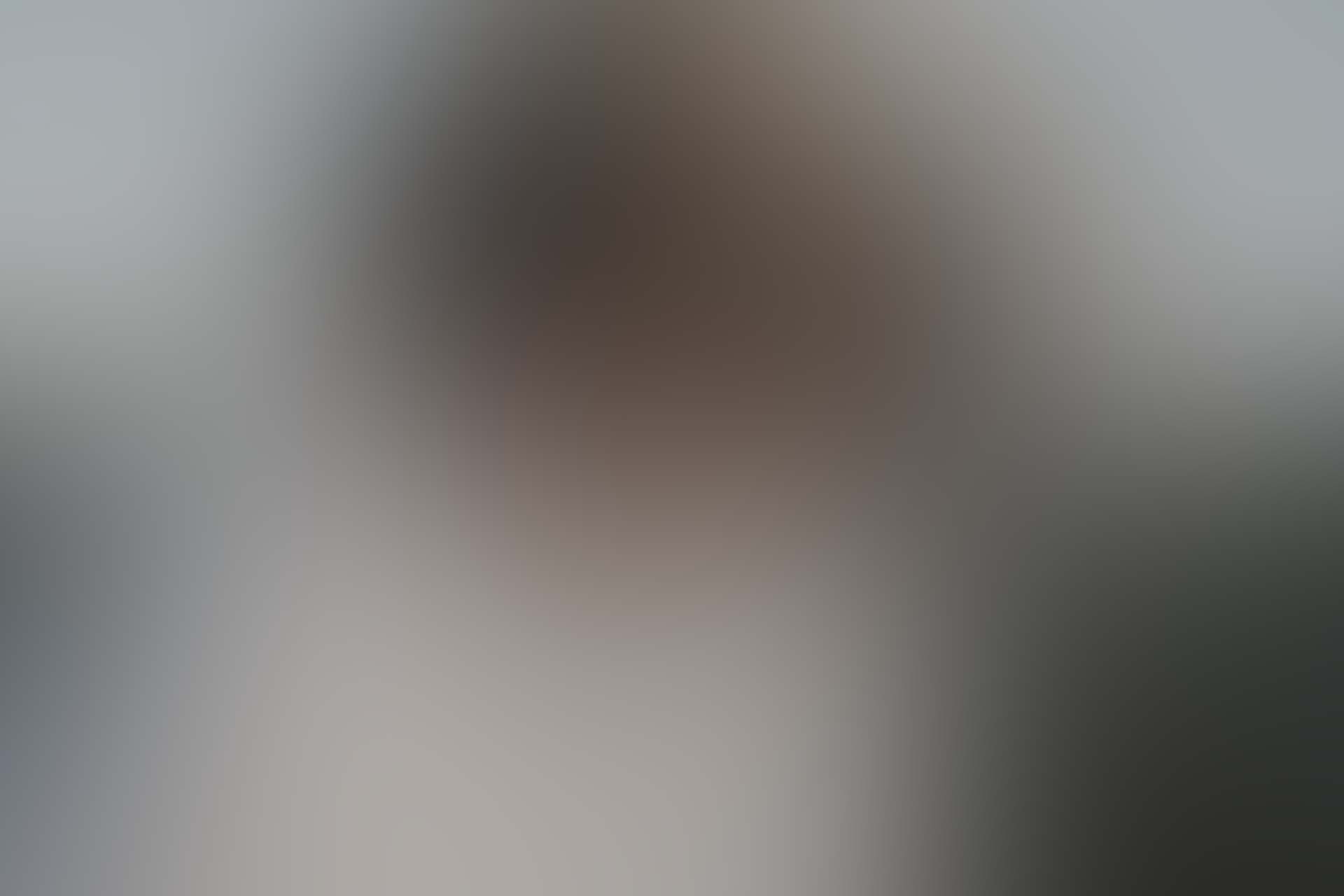 Knight Background