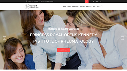 Knight Homepages