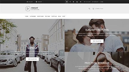 Knight Homepages