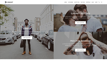 Knight Homepages