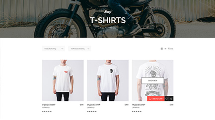 Knight Homepages