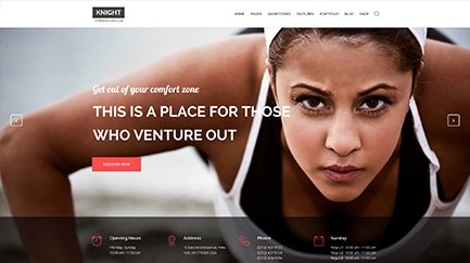 Knight Homepages