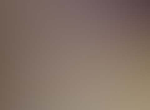 Knight interactive Banner